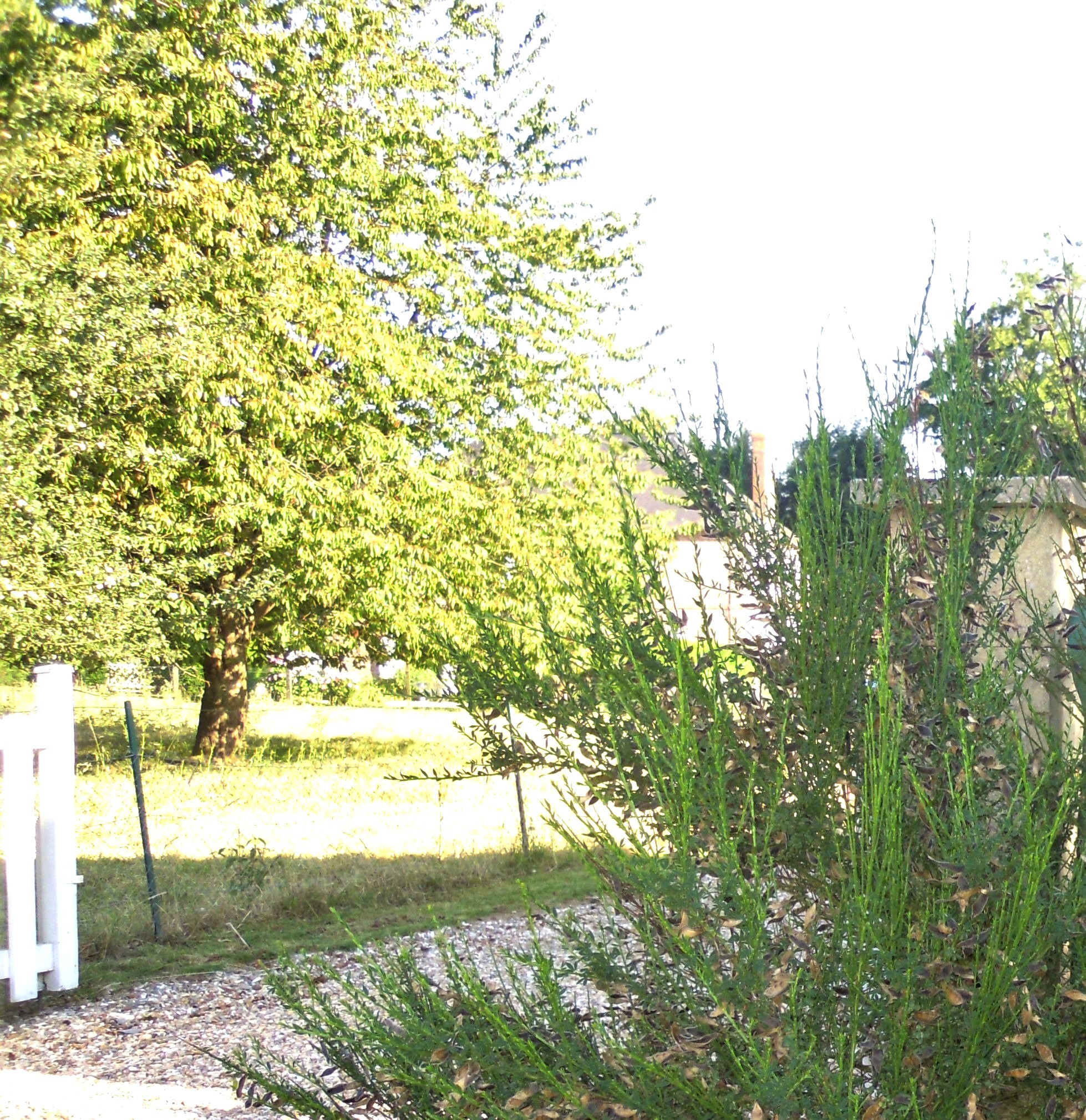 Photo n° 15 de la location