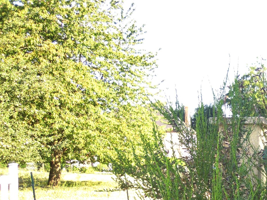Photo n° 15 de la location