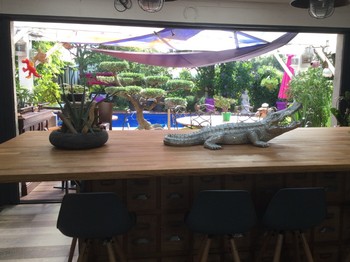 Salon et terrasse