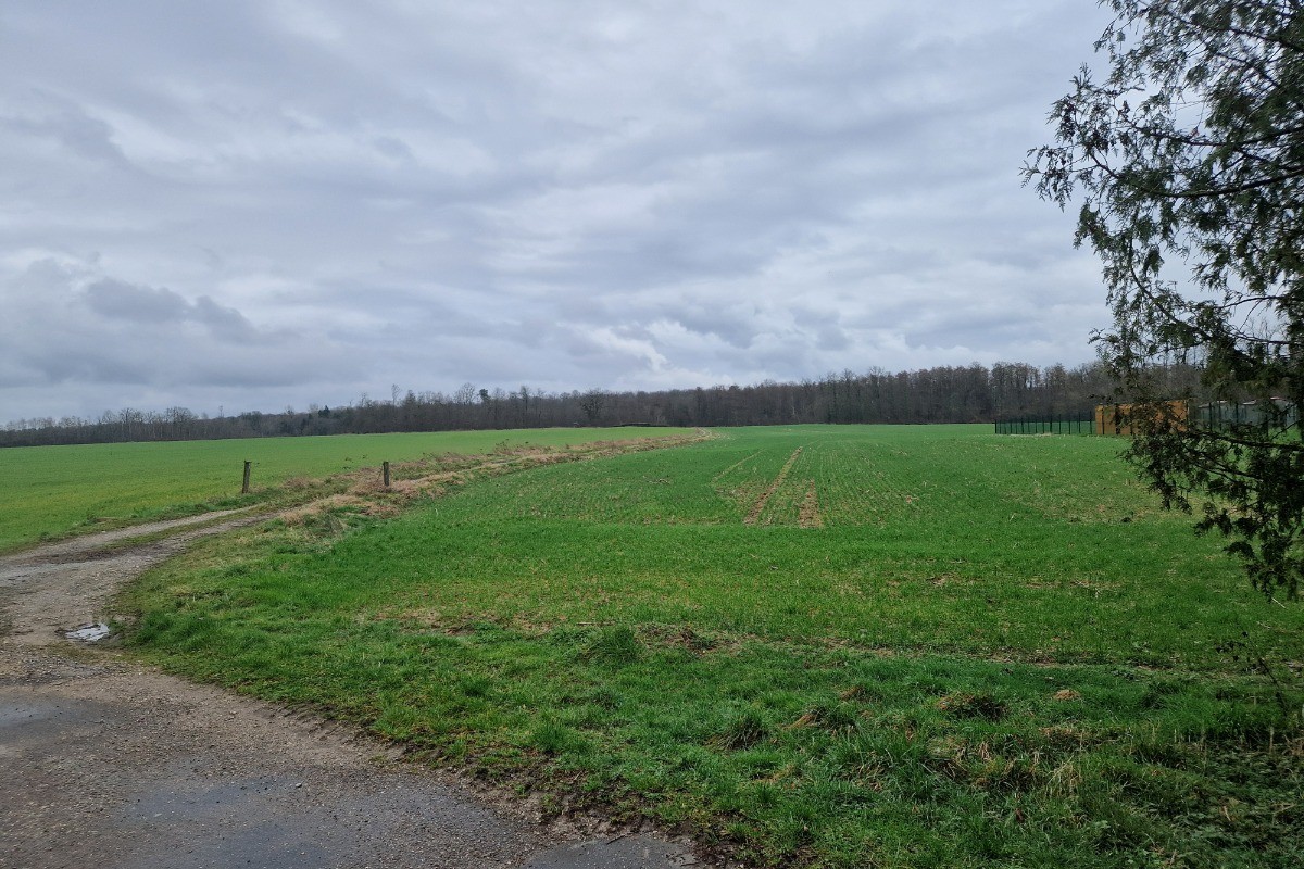 Wide open spaces for walks - Chez la mouzotte