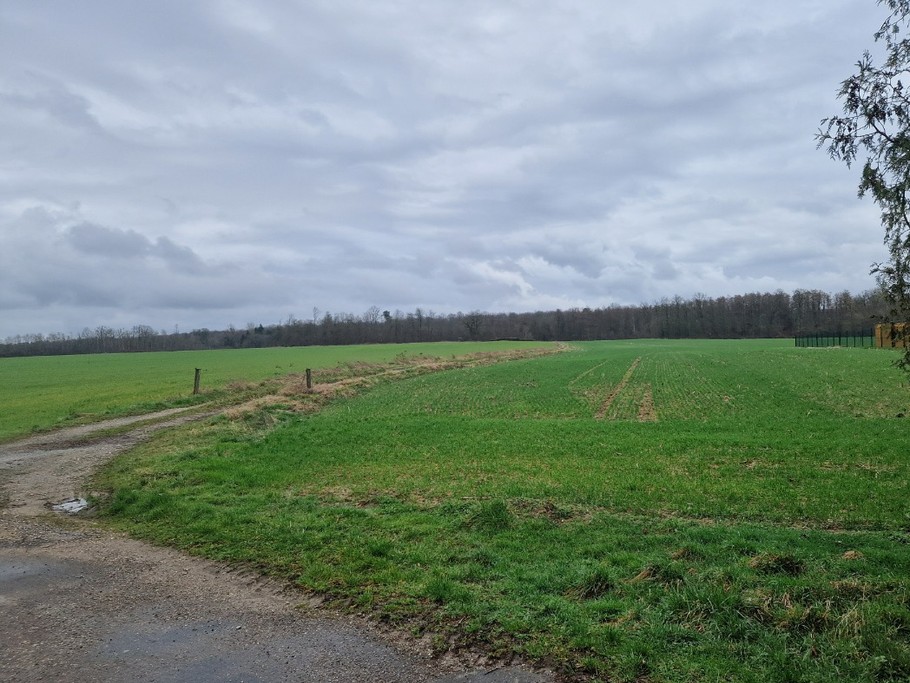 Wide open spaces for walks - Chez la mouzotte
