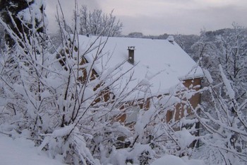 Photo n° 9 de la location