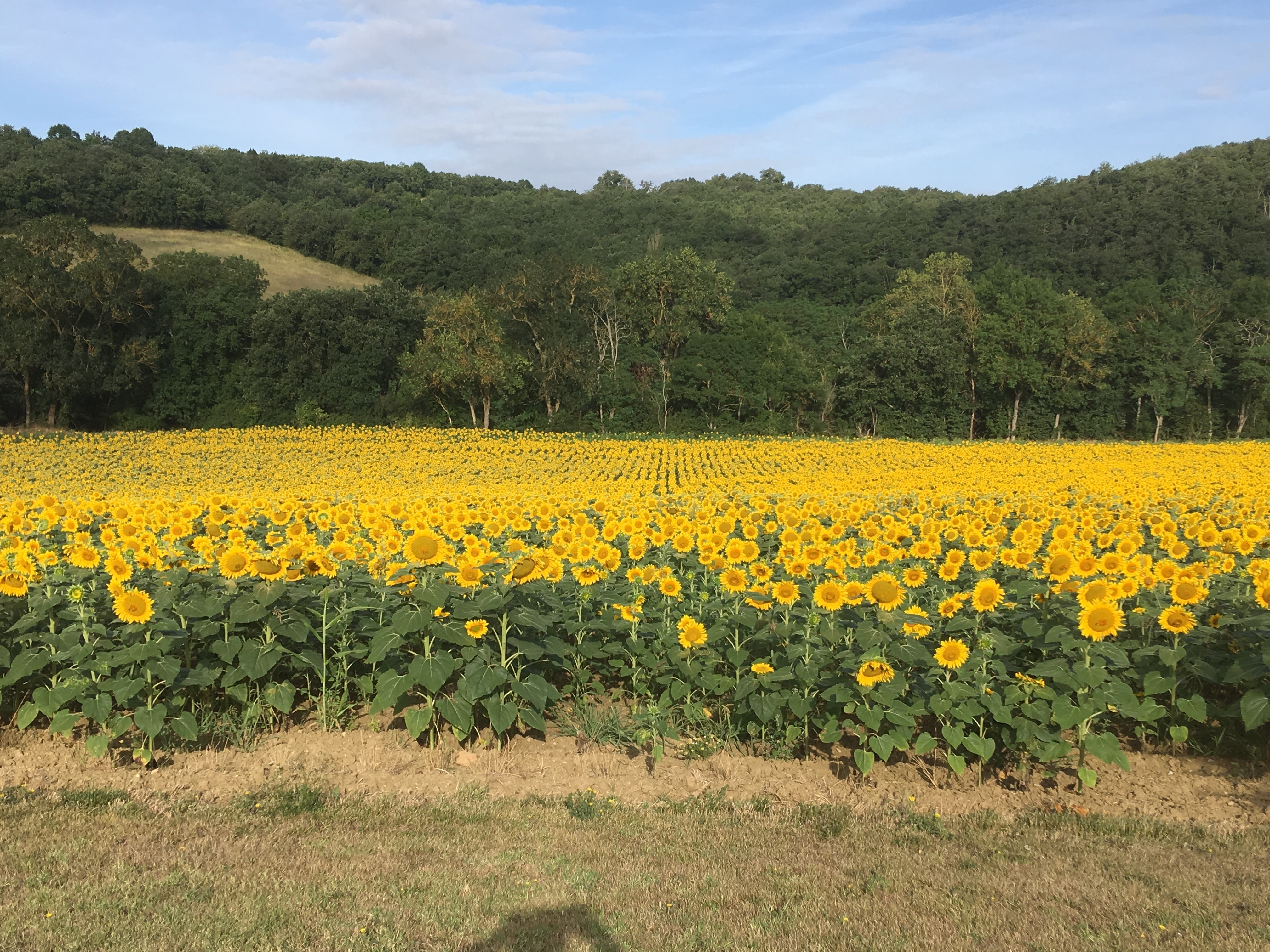 Photo n° 10 of the location