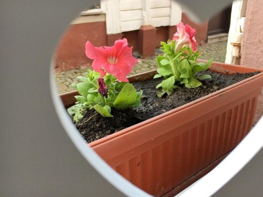 Photo n° 6 de la location