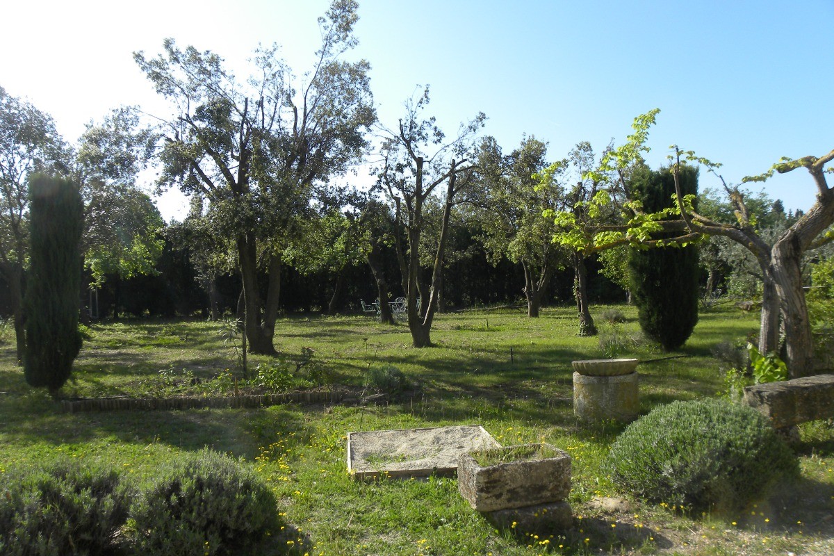 la cour