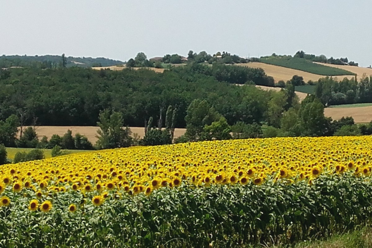 Vue environnent