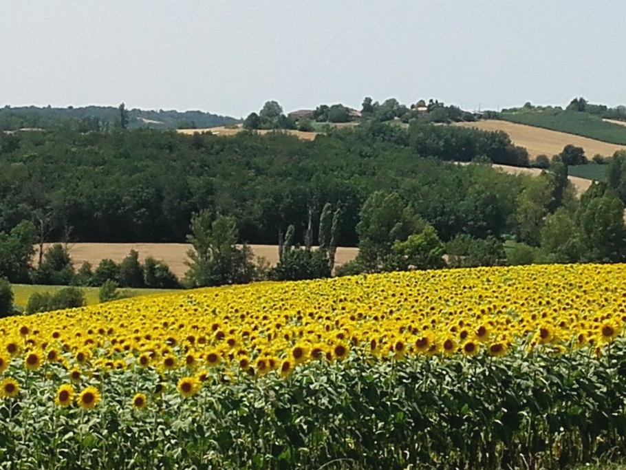 Vue environnent