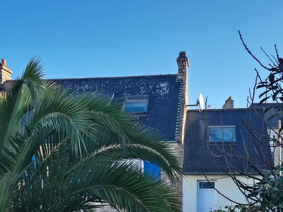 jardin (totalement fermé)