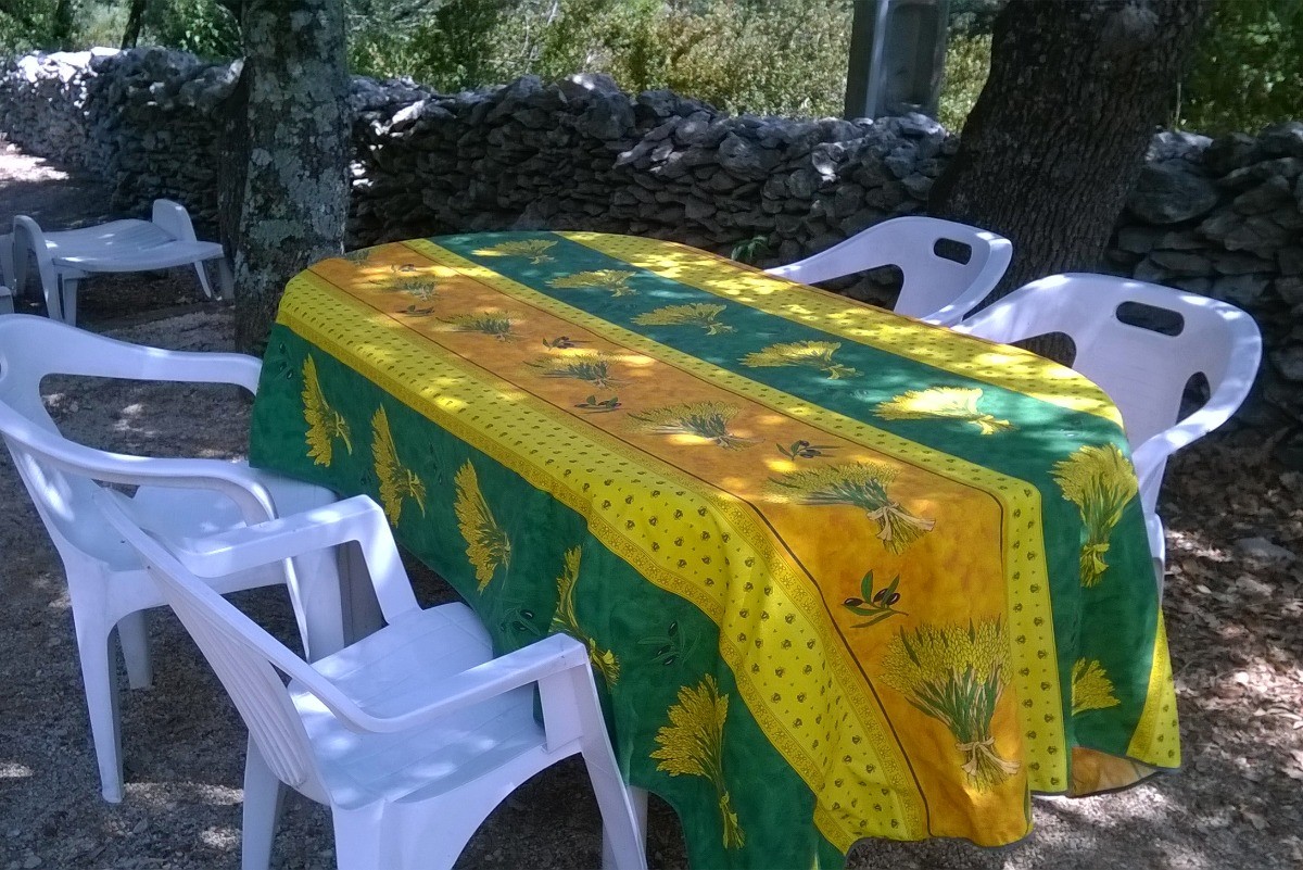 Coin repas sous les chênes