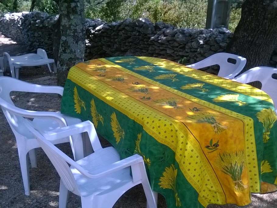 Coin repas sous les chênes