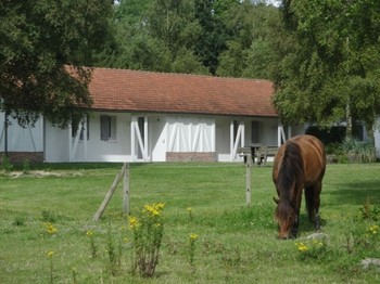 Photo n° 3 de la location