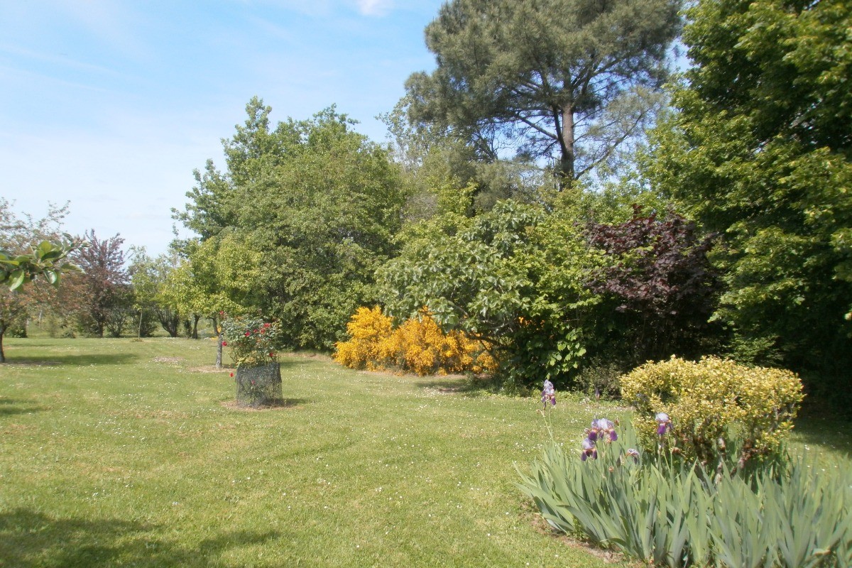 Le jardin au printemps