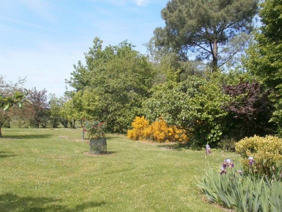 Le jardin au printemps