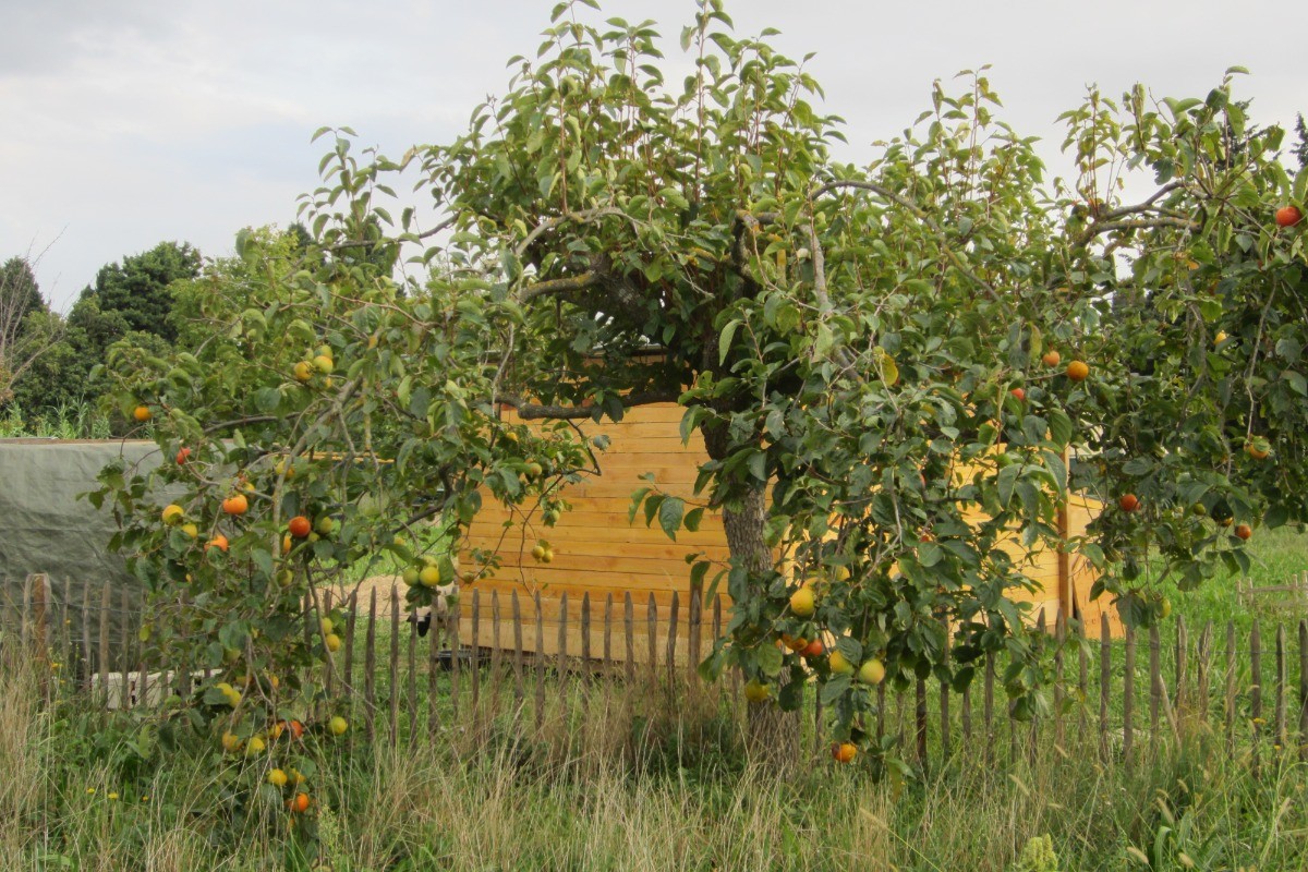 Photo n° 17 of the location
