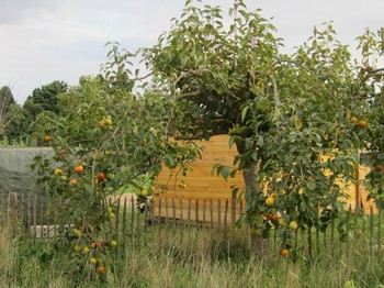 Photo n° 17 of the location