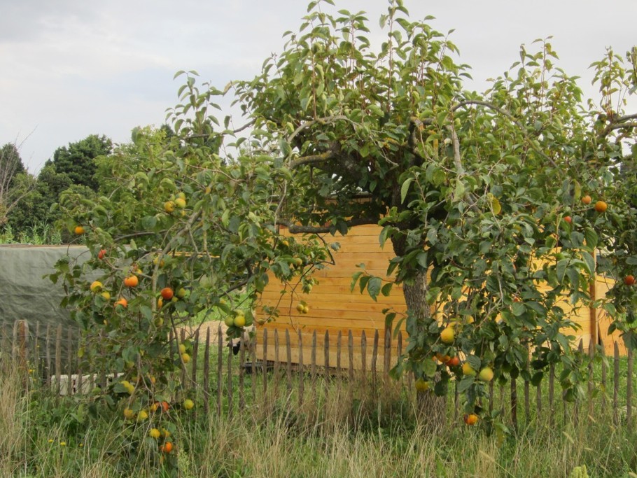 Photo n° 17 of the location