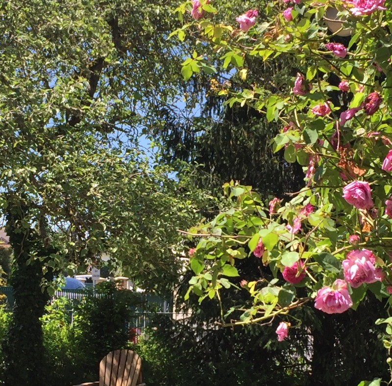 Photo n° 9 de la location