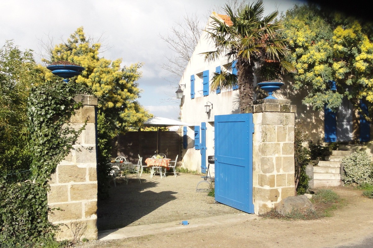 Cour-jardin. stationnement
