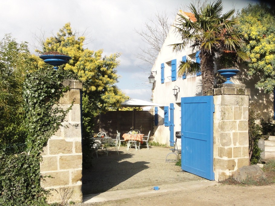 Cour-jardin. stationnement