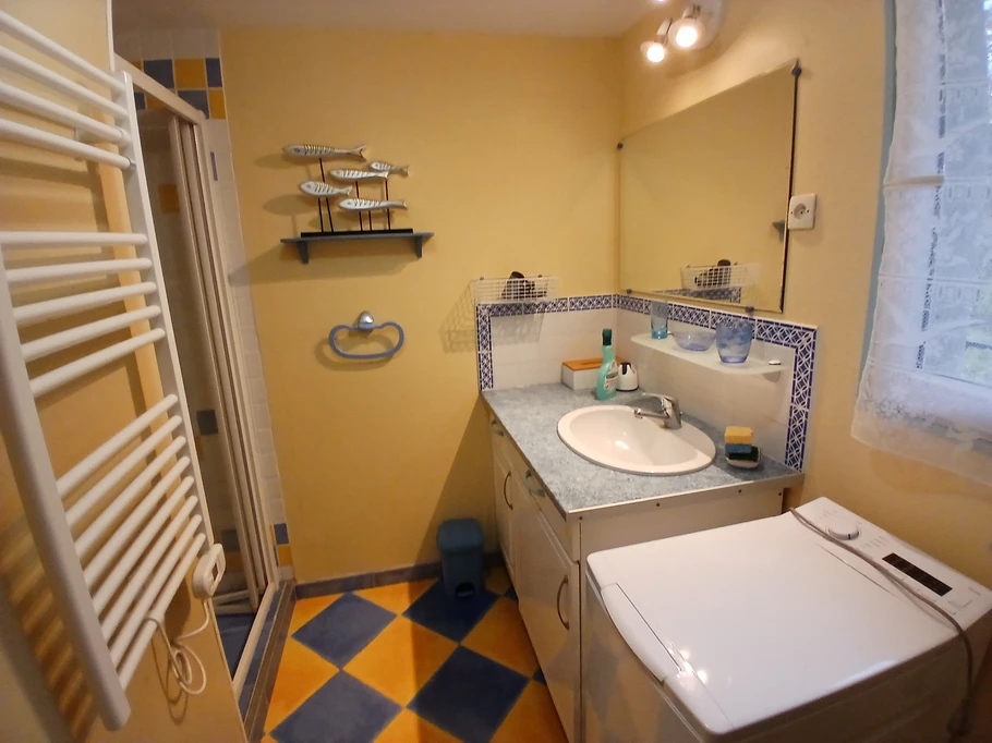 Les Mésanges salle d'eau