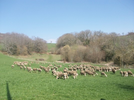 Photo n° 12 de la location