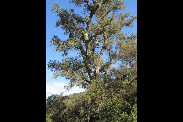 Photo n° 18 de la location