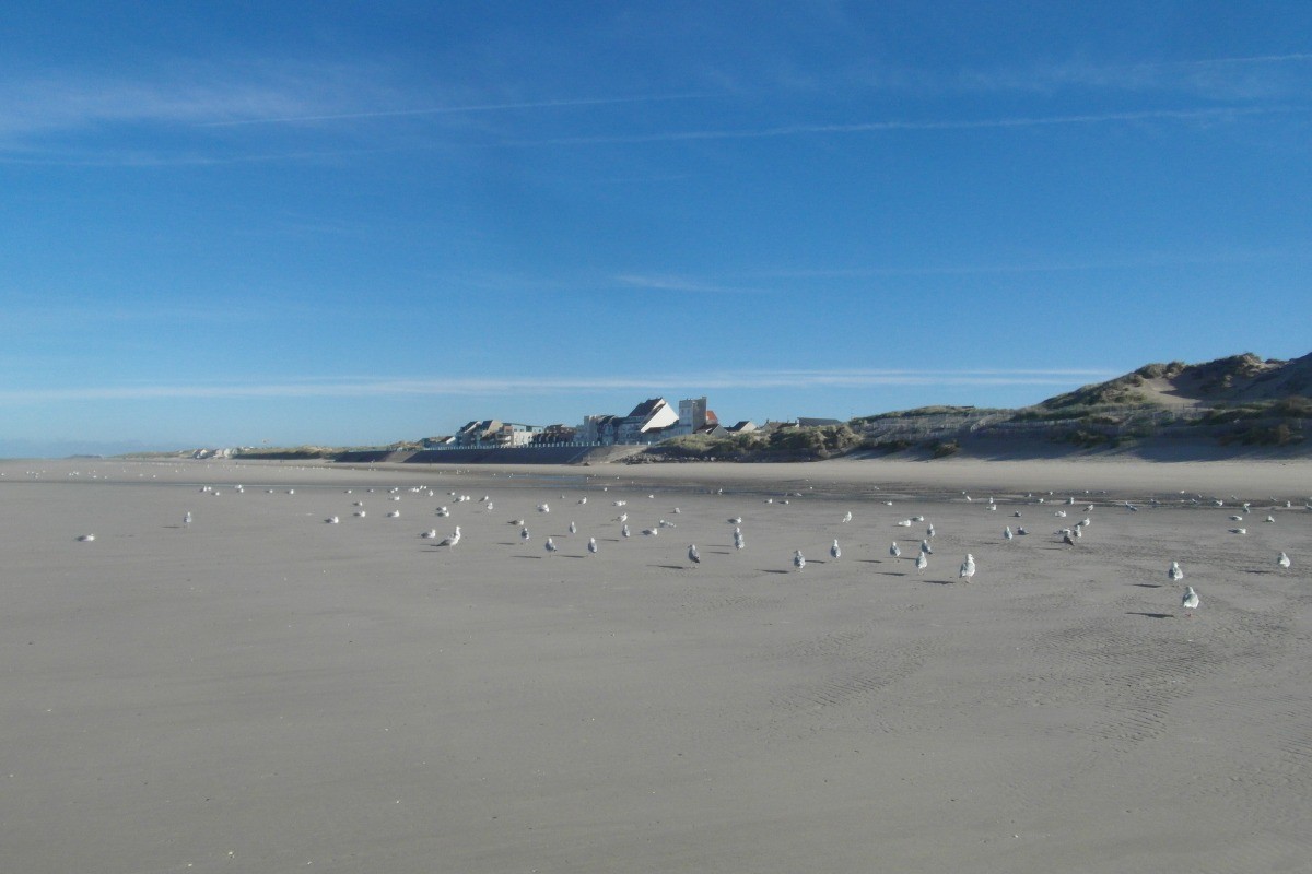 Photo n° 10 of the location