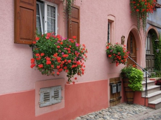 Photo n° 9 of the location