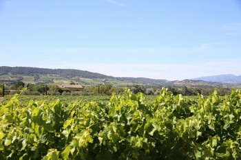 Environnement du gîte