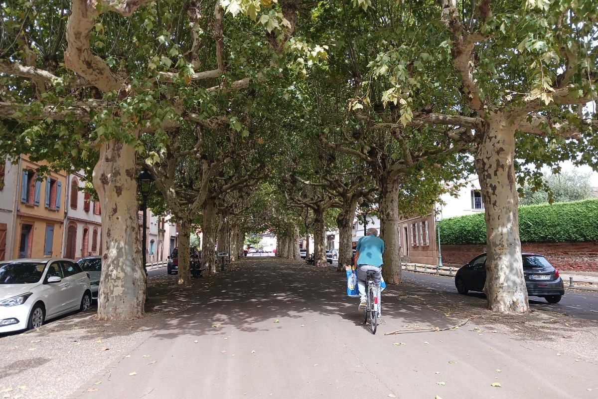 Places de parking autour de la place à proximité immédiate de la location
