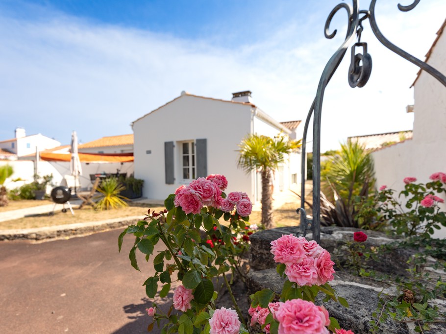 Jardin
