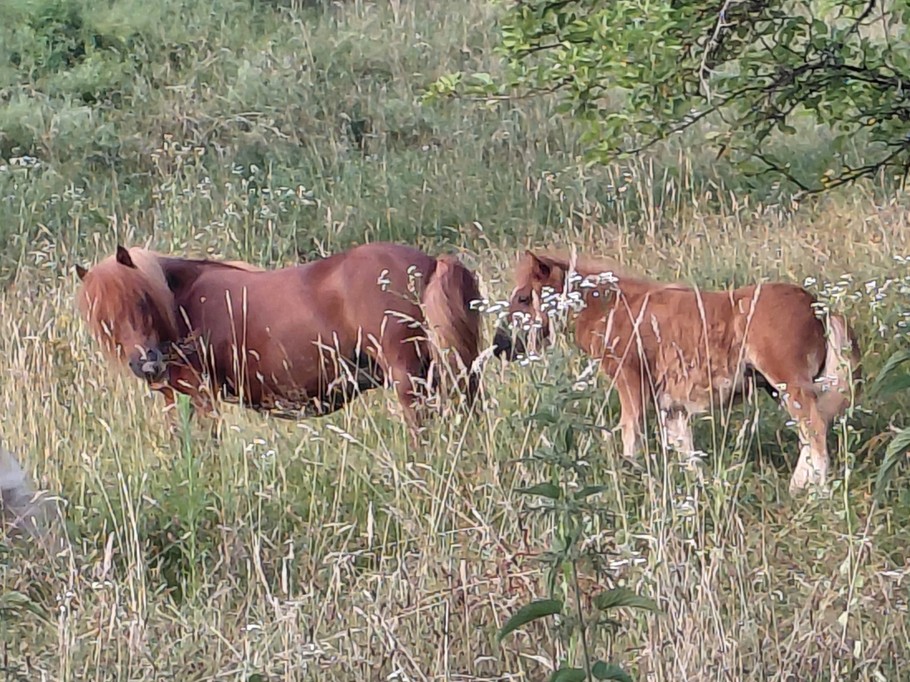 Photo n° 10 of the location
