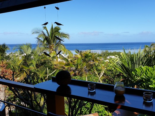 Bungalow Bois avec jacuzzi privatif - Poz Lagon chambre d'hôtes la Saline les bains