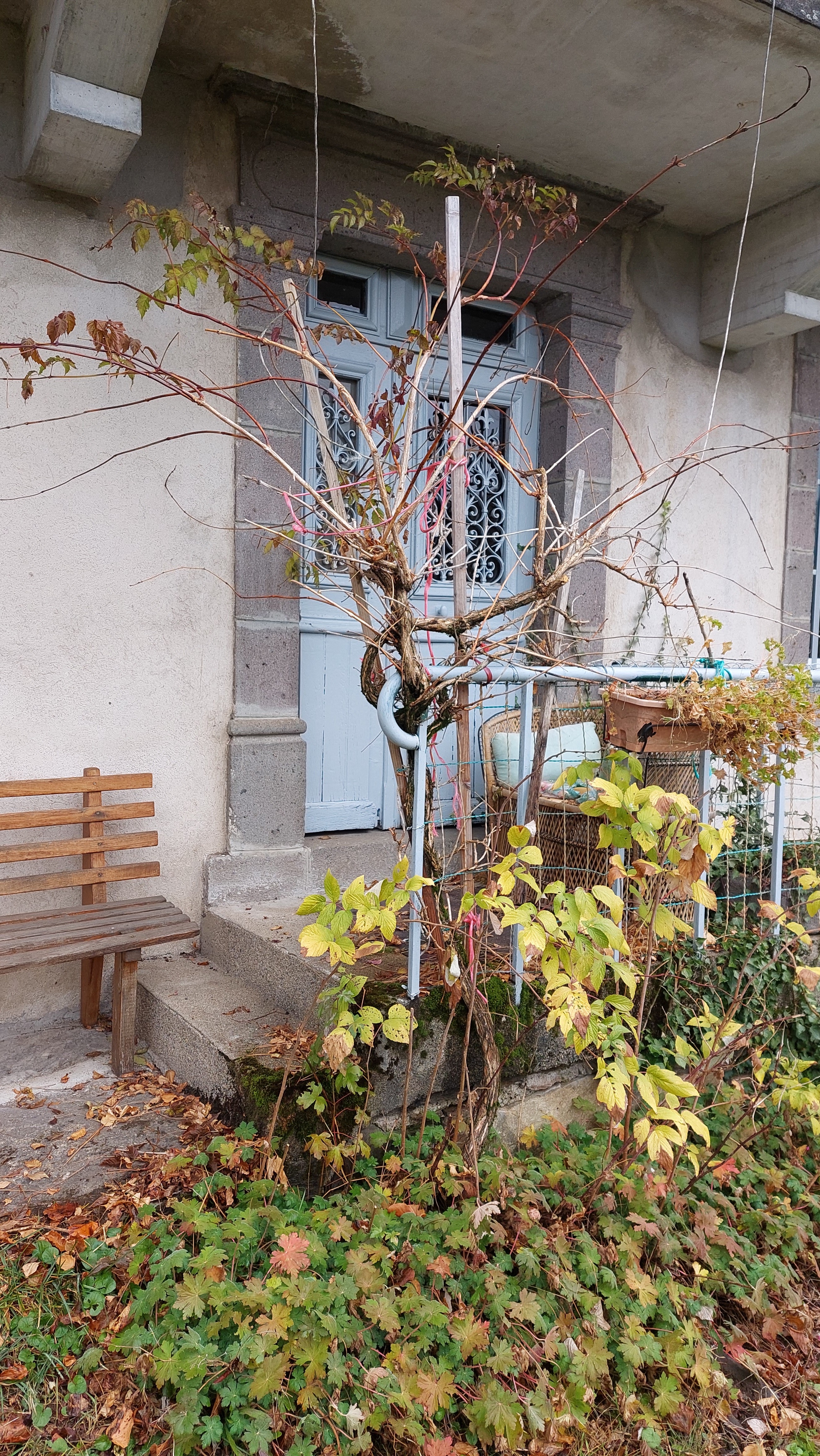 Photo n° 18 de la location