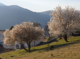 vue vers l'est depuis la terrasse