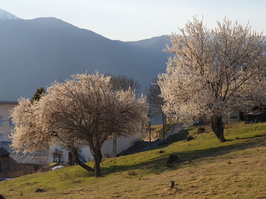 vue vers l'est depuis la terrasse