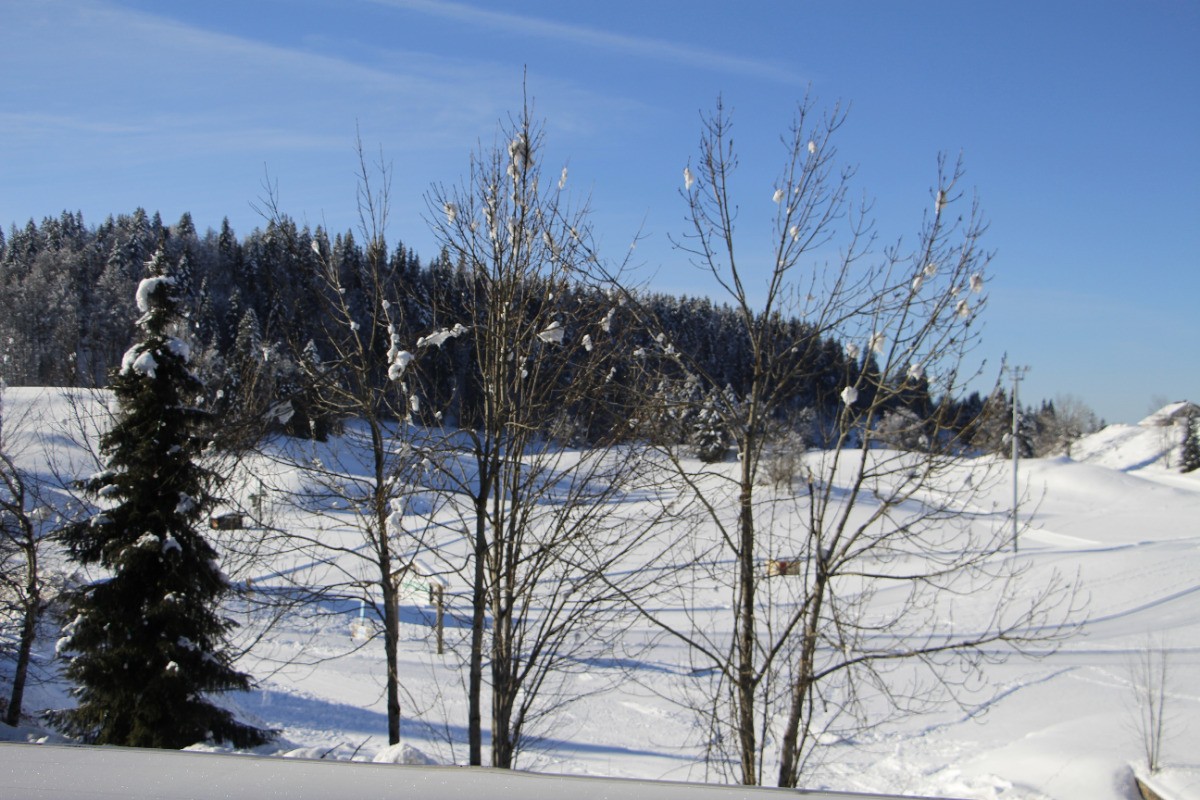 Photo n° 14 de la location