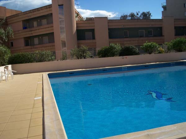 La piscine de la résidence et notre cétacé local.