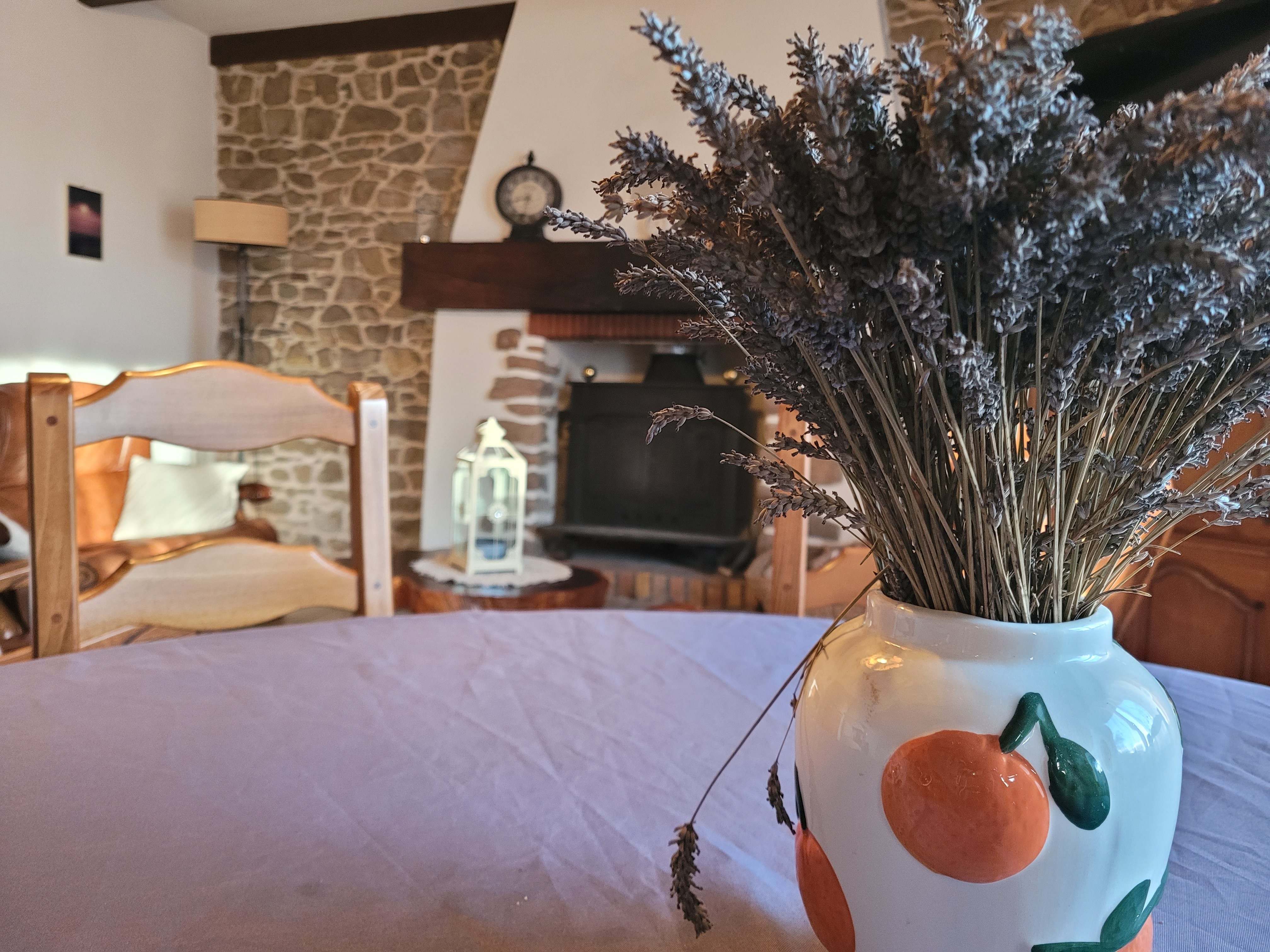 Le Grand location de vacances, Pléhedel, Séjour salon et cusine aménagée