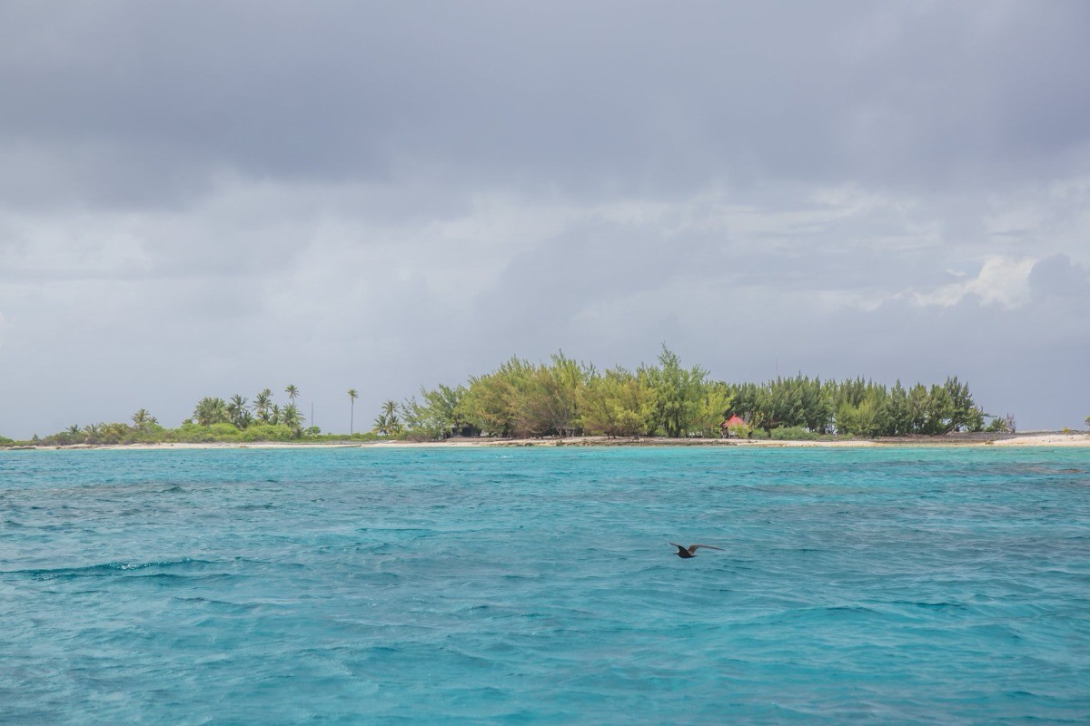 Photo n° 2 de la location