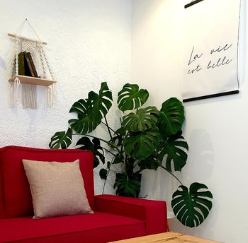 Les gîtes sur la colline - Montignac de Lauzun