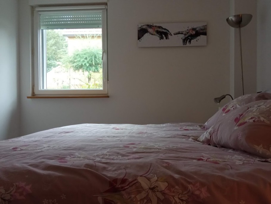 Photo n° 9 de la location