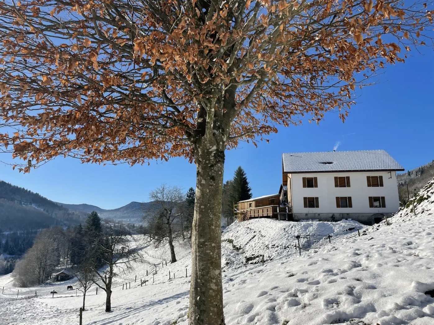 La Clé des Champs à Bussang – Gîte de groupe tout confort dans les Hautes Vosges