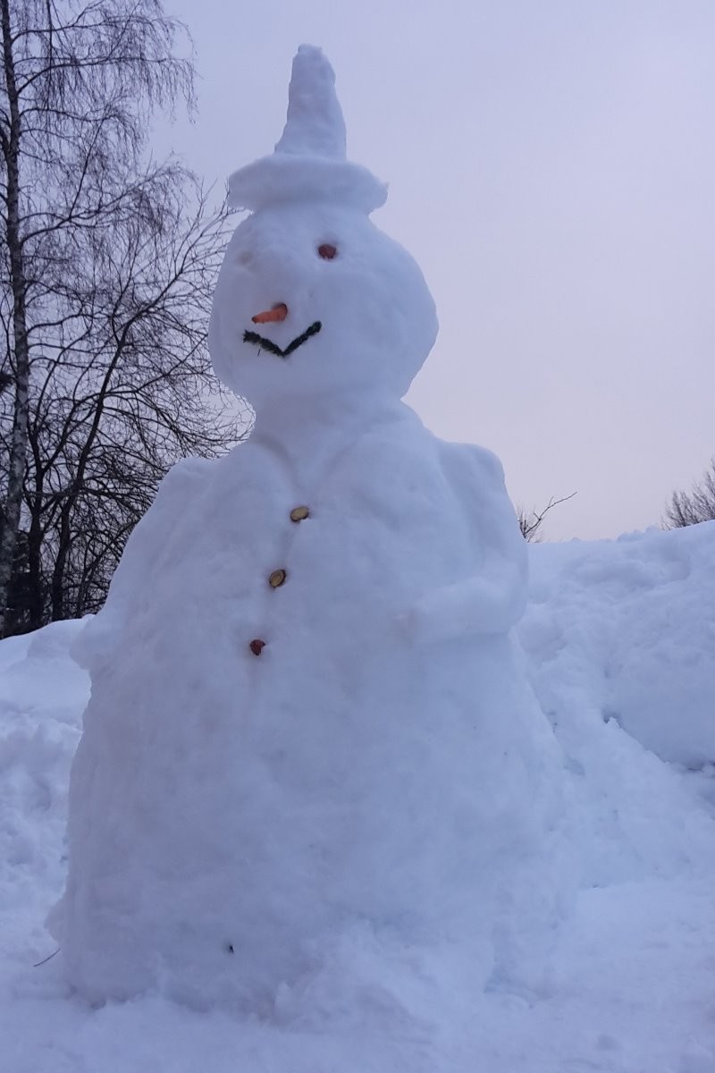 le bonhomme de neige
