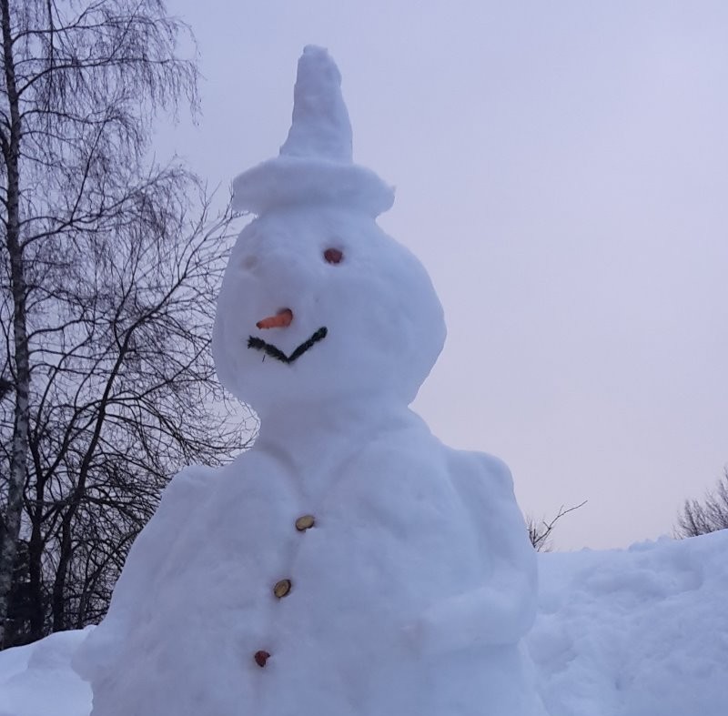 le bonhomme de neige