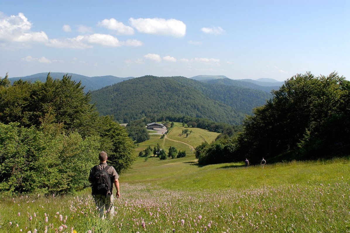 Photo n° 16 of the location
