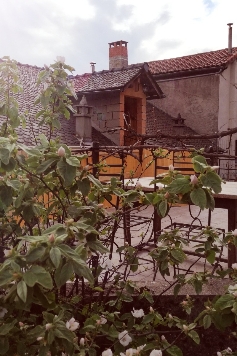Photo n° 11 de la location