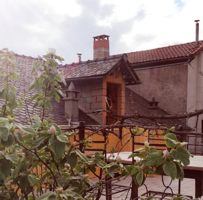 Photo n° 11 de la location