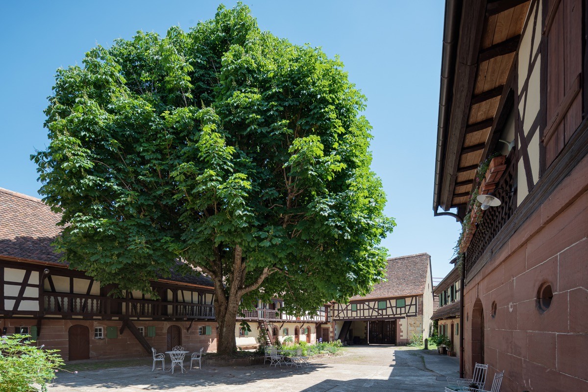 Photo n° 9 of the location