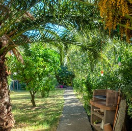 Accès - Jardin privatif